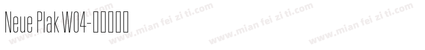 Neue Plak W04字体转换